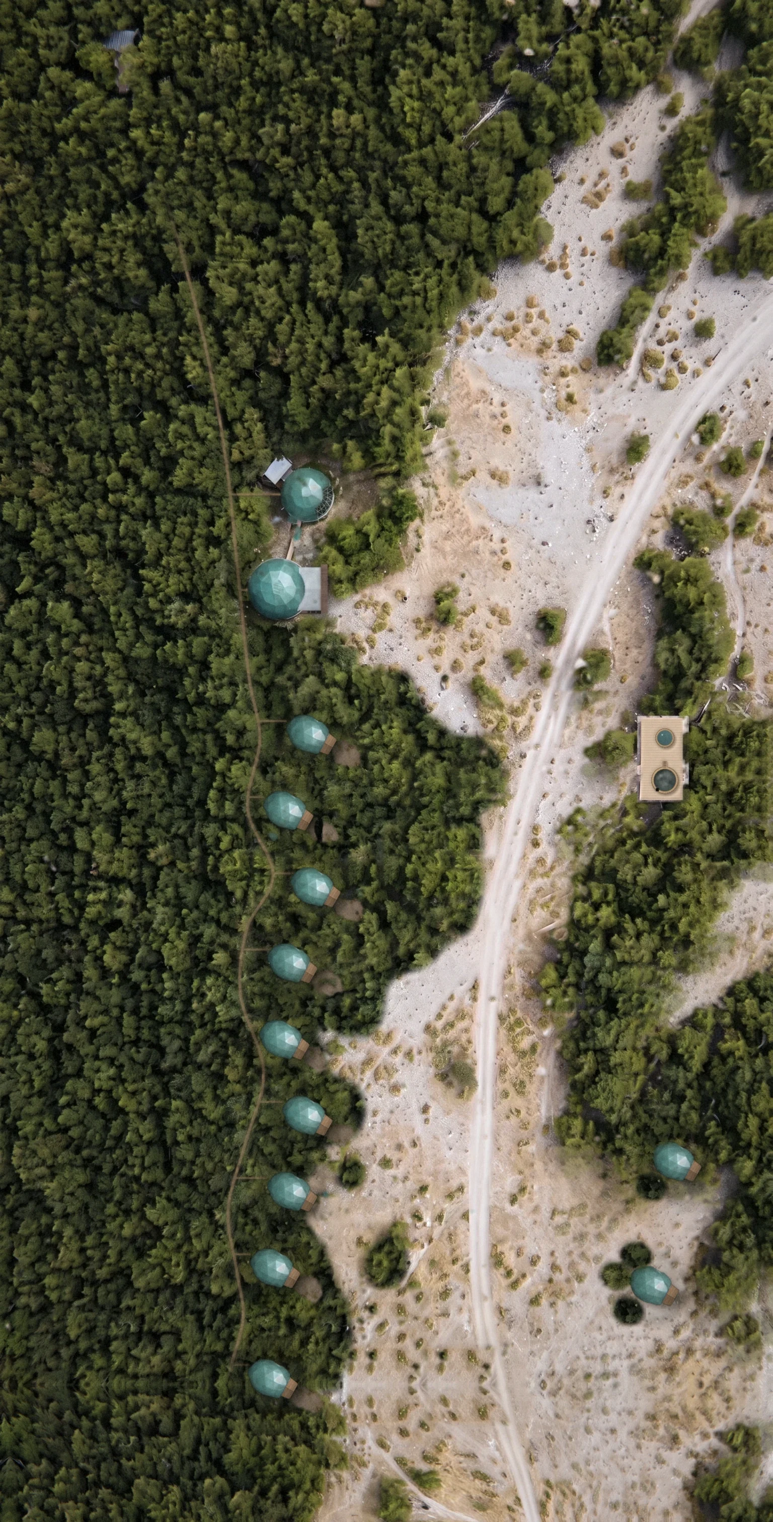 The camp seen from the air: the domes at the edge of the lenga forest