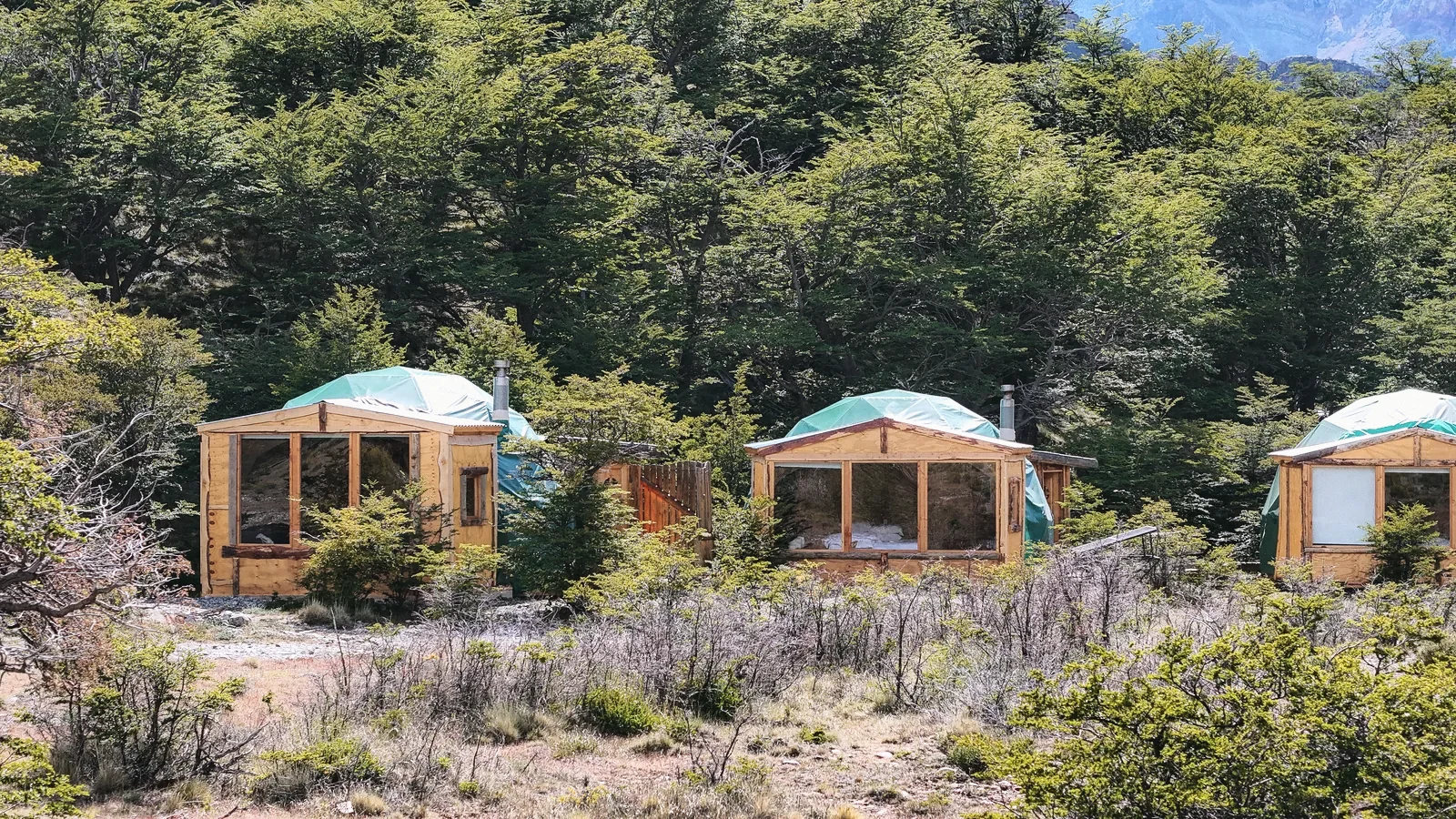 The domes in a row at the edge of the forest