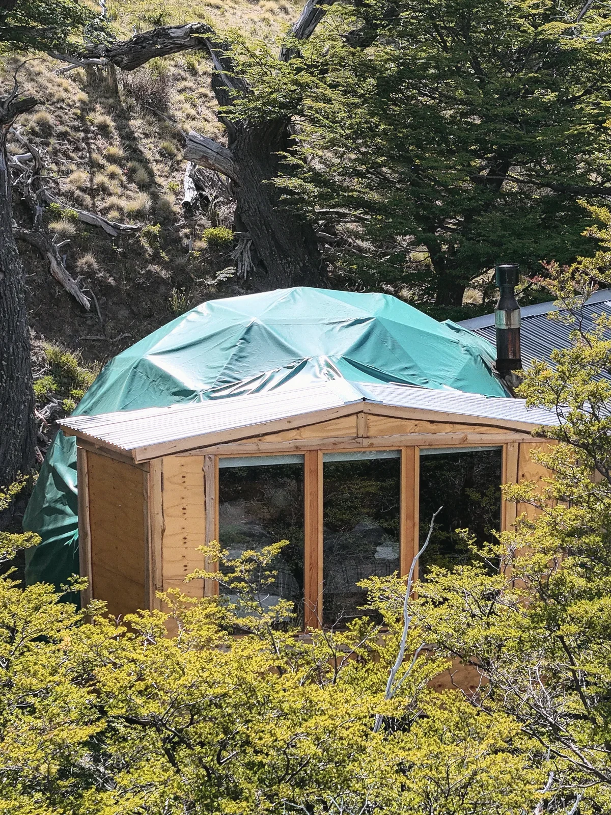 A dome with its glass front, among the lengas