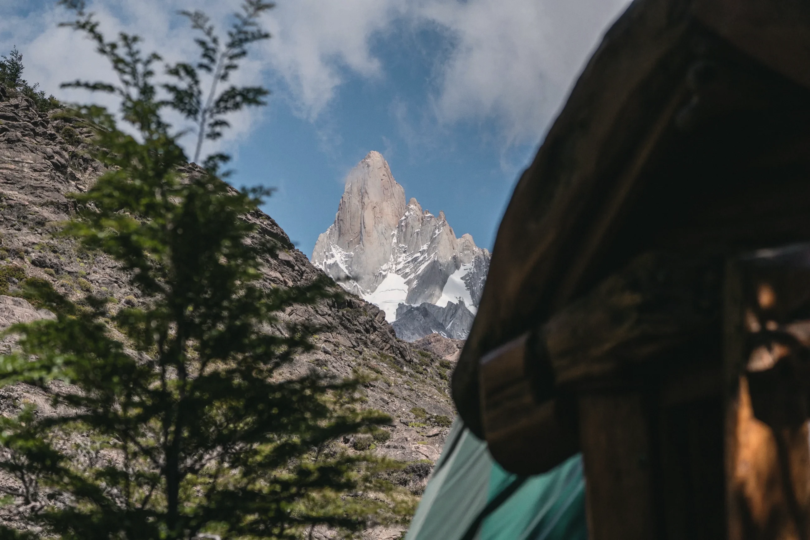 Fitz Roy framed by lengas and the eave of a dome